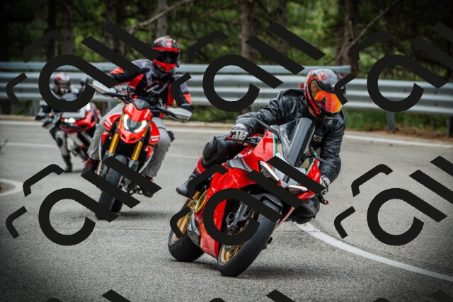 202507131101-DSC02042_c1_