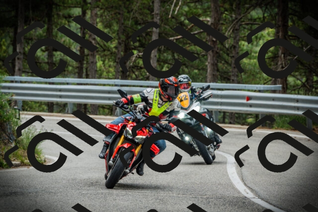 202507131101-DSC02058_c1_