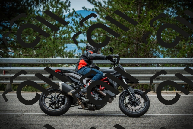 202507131101-DSC02072_c1_