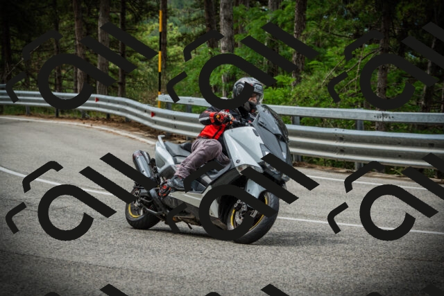 202507131101-DSC02075_c1_