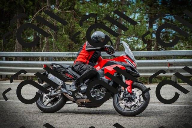 202507131102-DSC02095_c1_