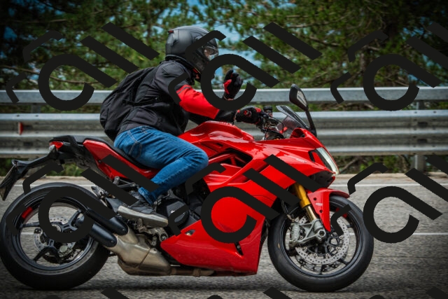 202507131102-DSC02097_c1_