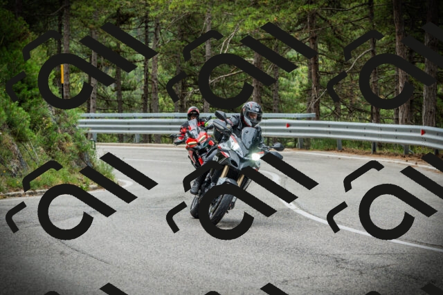 202507131102-DSC02107_c1_