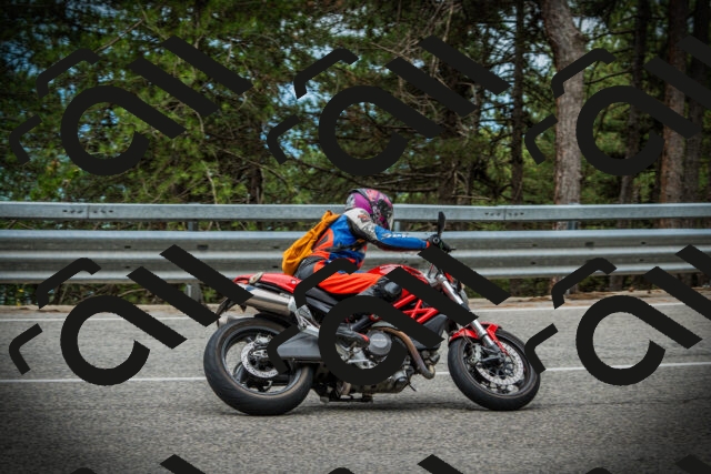 202507131104-DSC02119_c1_