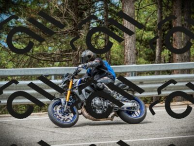 202507131110-DSC02193_c1_