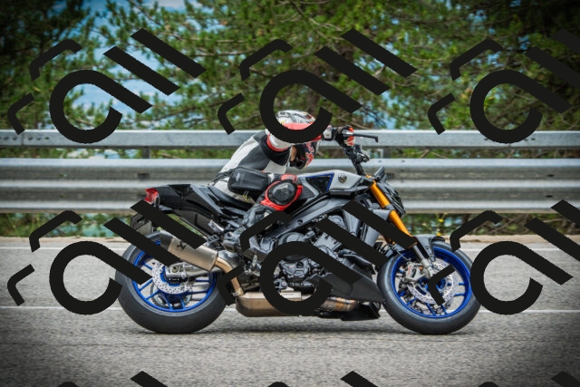 202507131116-DSC02254_c1_