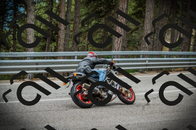 202507131116-DSC02260_c1_