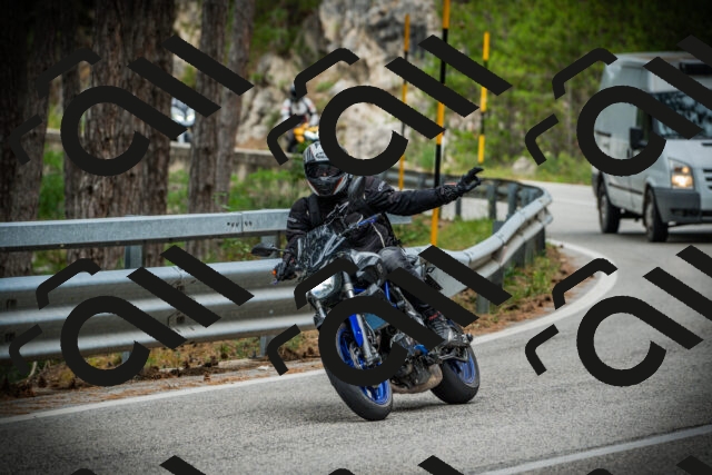 202507131120-DSC02274_c1_