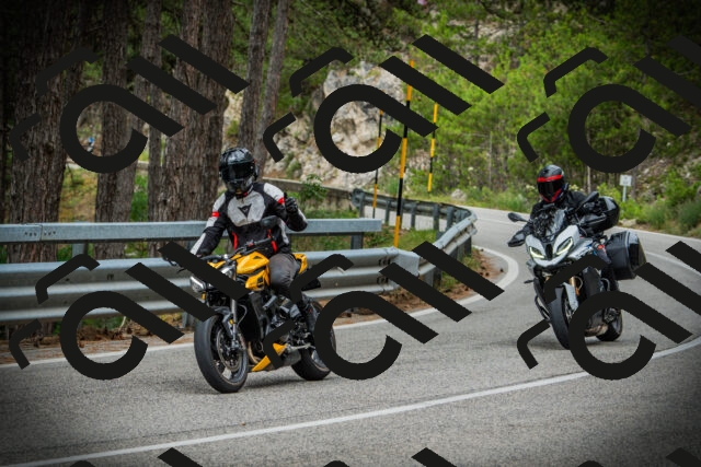 202507131120-DSC02278_c1_