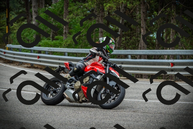 202507131121-DSC02295_c1_