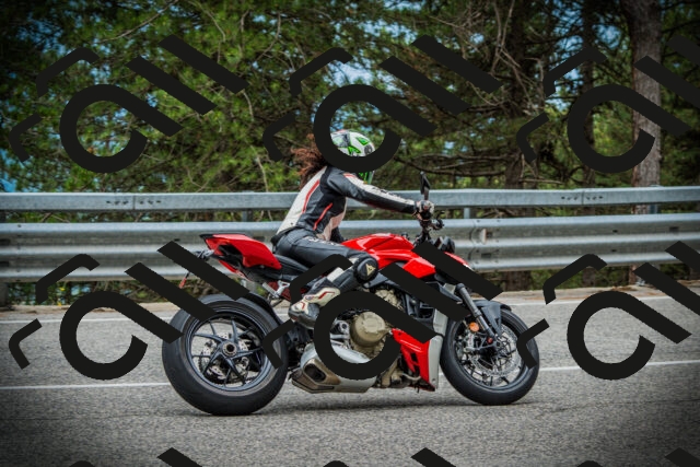 202507131121-DSC02296_c1_