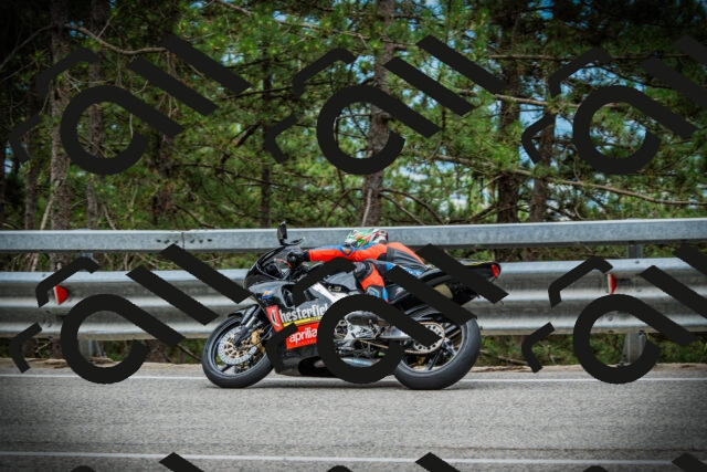 202507131122-DSC02308_c1_