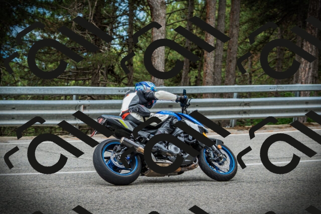 202507131122-DSC02311_c1_