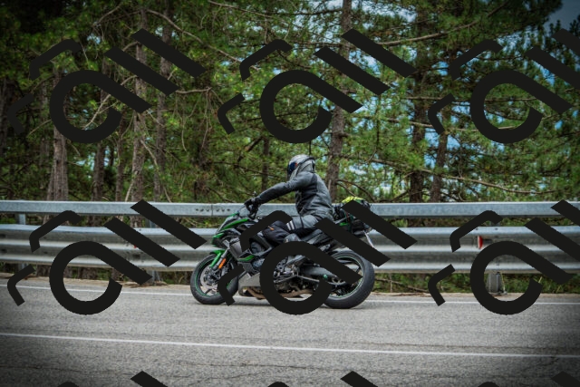 202507131122-DSC02315_c1_