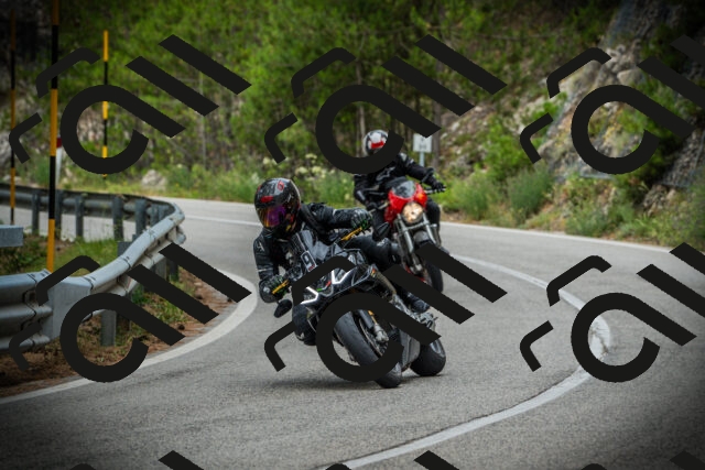 202507131126-DSC02337_c1_