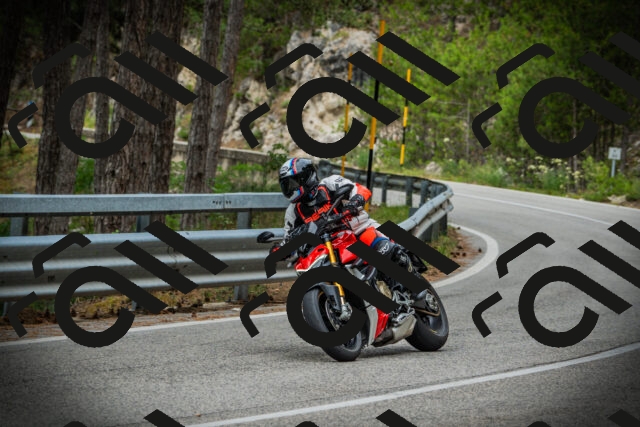 202507131127-DSC02349_c1_