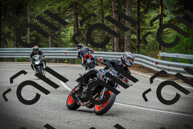 202507131127-DSC02352_c1_