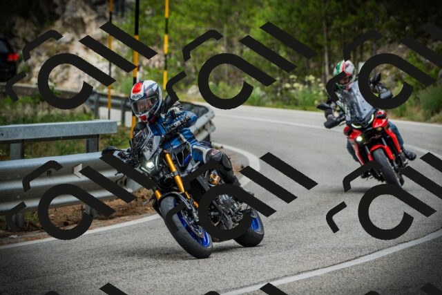 202507131127-DSC02361_c1_