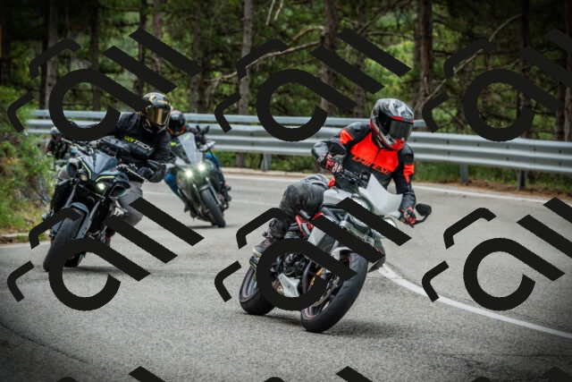 202507131127-DSC02367_c1_