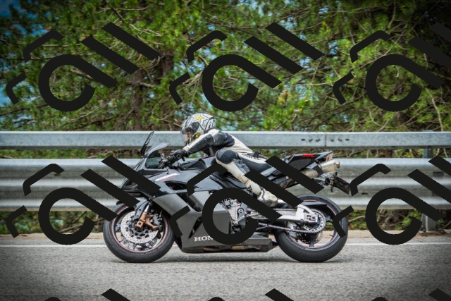 202507131128-DSC02375_c1_