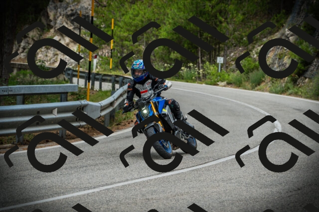 202507131130-DSC02386_c1_