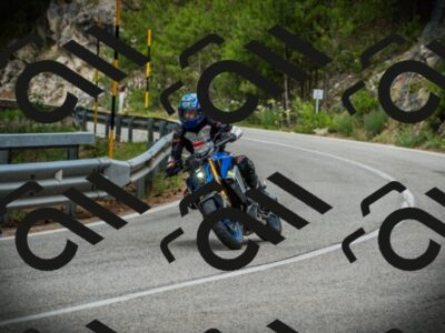 202507131130-DSC02386_c1_