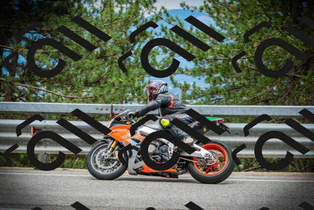 202507131132-DSC02395_c1_