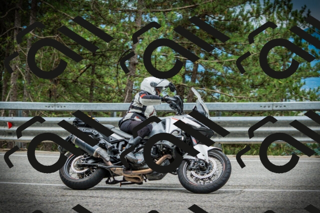 202507131134-DSC02400_c1_