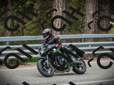 202507131136-DSC02451_c1_