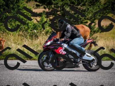 202507191018-DSC_8320_c2