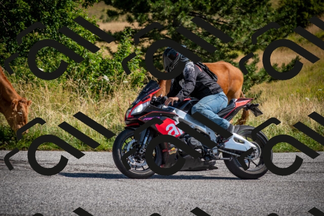 202507191018-DSC_8320_c2