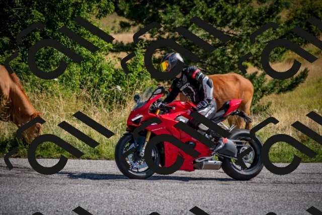 202507191018-DSC_8322_c2