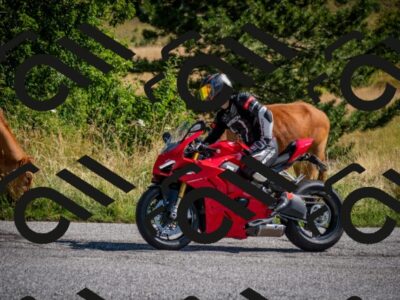 202507191018-DSC_8322_c2