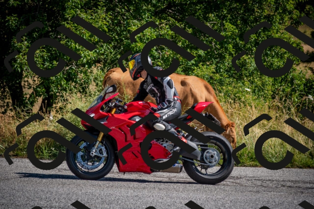 202507191018-DSC_8323_c2