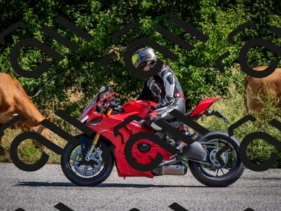 202507191018-DSC_8324_c2