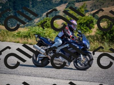 202507191025-DSC_8336_c2