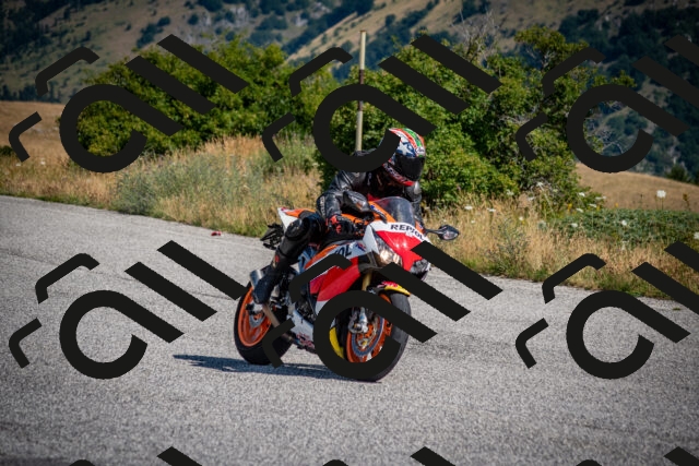 202507191025-DSC_8342_c2