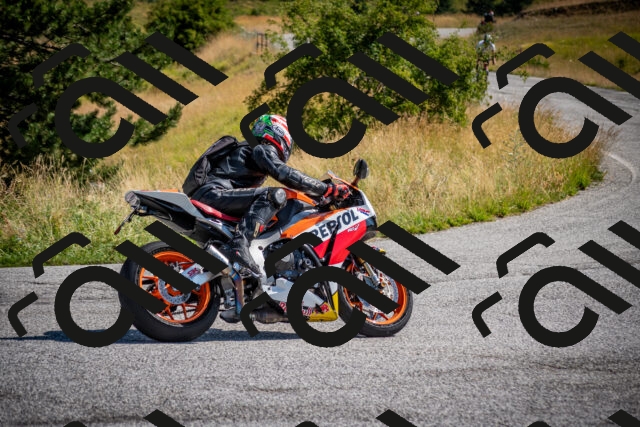 202507191025-DSC_8344_c2