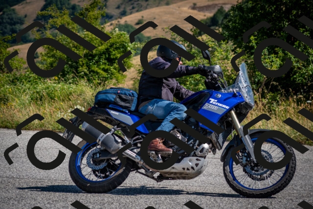 202507191026-DSC_8345_c2