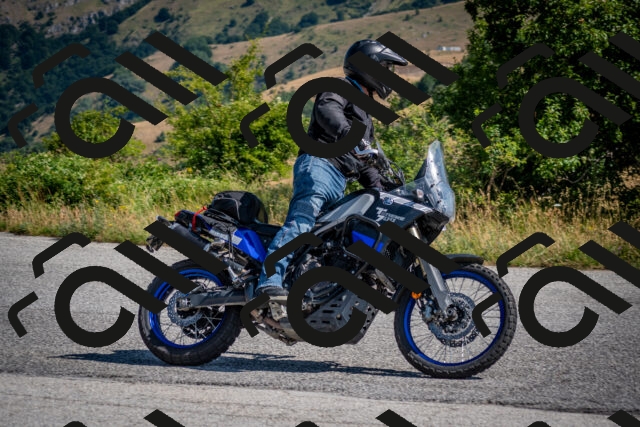 202507191029-DSC_8363_c2