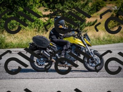 202507191048-DSC_8423_c2