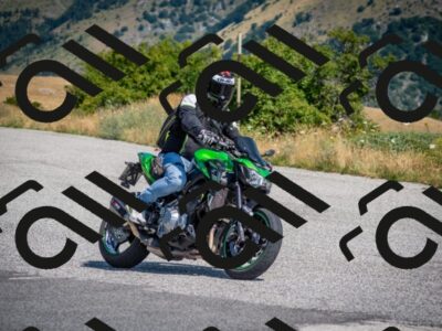 202507191103-DSC_8441_c2