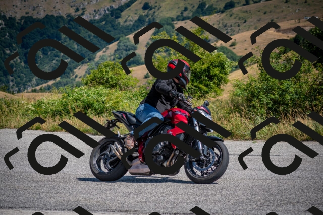 202507191103-DSC_8448_c2