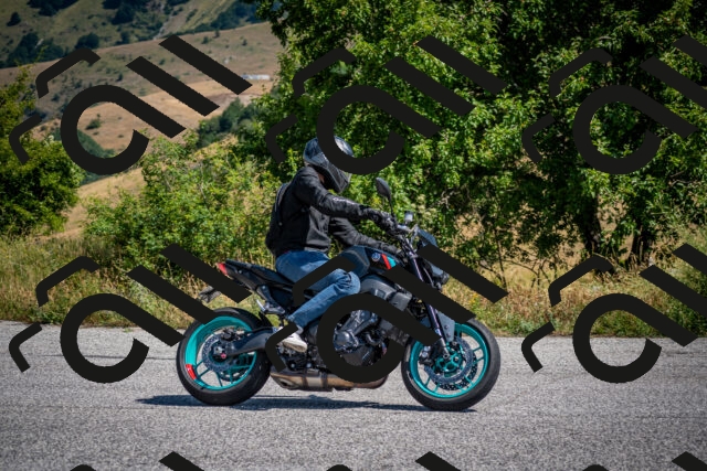 202507191104-DSC_8451_c2