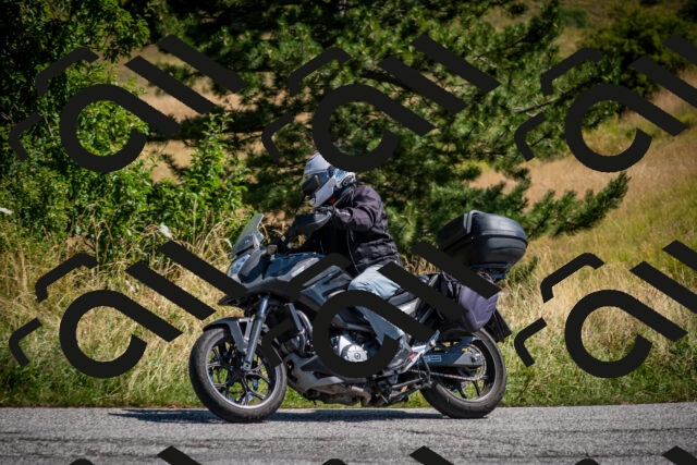 202507191109-DSC_8475_c2