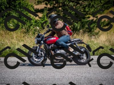 202507191115-DSC_8496_c2