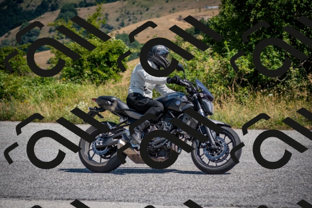 202507191117-DSC_8508_c2