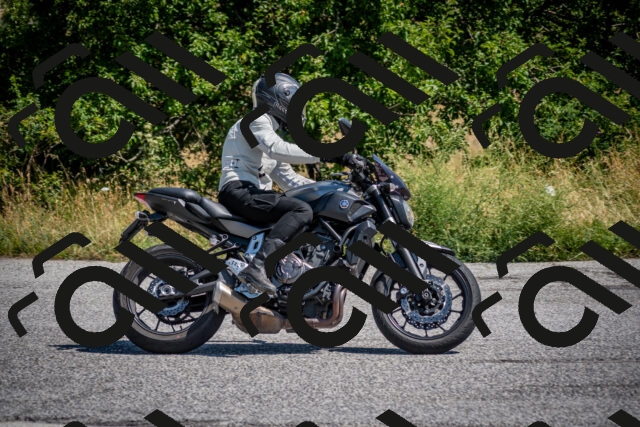 202507191117-DSC_8509_c2