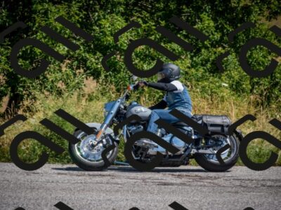 202507191129-DSC_8587_c2