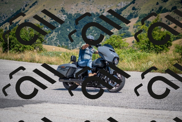 202507191200-DSC_8770_c2